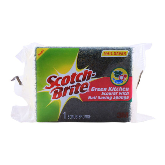 Fast Action Scourer With Sponge (Regular)