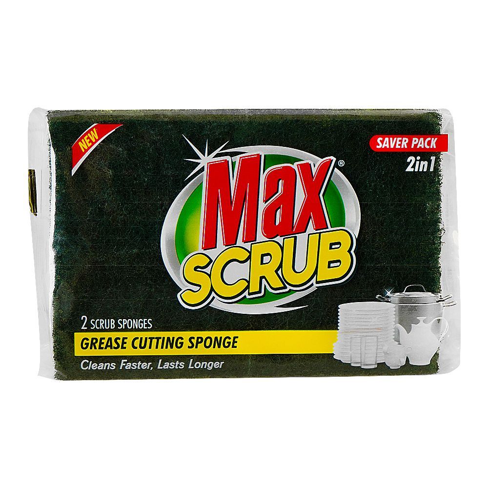 Fast Action Scourer With Sponge N/S (L