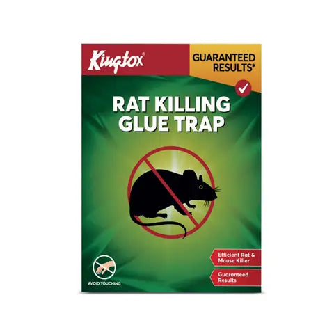 kingtox Rat Killing Glue Trap